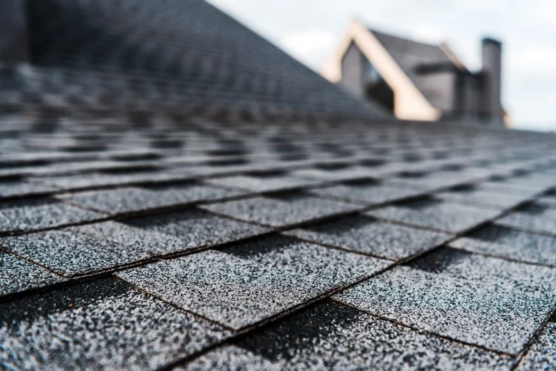 How to Choose a Roofing Material That Matches Your Neighborhood's Aesthetic