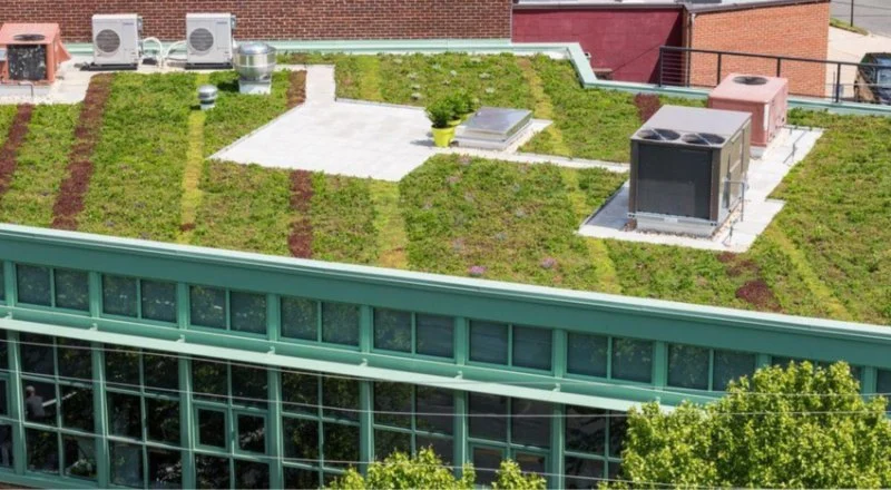 Green Roofs: How They Work, Their Benefits, and Installation Considerations