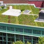 Green Roofs: How They Work, Their Benefits, and Installation Considerations