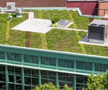 Green Roofs: How They Work, Their Benefits, and Installation Considerations