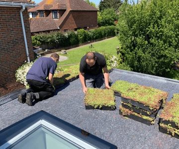 The True Cost of a Green Roof: Installation, Irrigation, and Maintenance