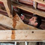 The Signs of a Roof Leak in Your Attic: Stains, Mold, and Wet Insulation