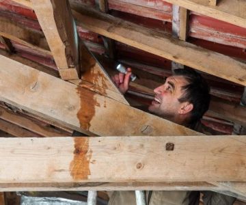 The Signs of a Roof Leak in Your Attic: Stains, Mold, and Wet Insulation