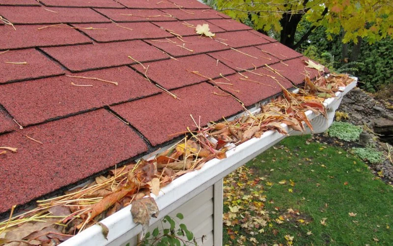 Gutter Maintenance 101: How Clogged Gutters Can Destroy Your Roof and Foundation
