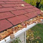 Gutter Maintenance 101: How Clogged Gutters Can Destroy Your Roof and Foundation