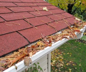 Gutter Maintenance 101: How Clogged Gutters Can Destroy Your Roof and Foundation