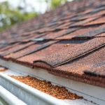 The Signs of an Aging Roof: Granule Loss, Brittle Shingles, and Sun Damage