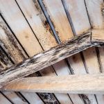 How to Identify and Fix Poor Roof Ventilation That's Causing Mold and Mildew | Pro Found Roofing