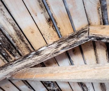 How to Identify and Fix Poor Roof Ventilation That's Causing Mold and Mildew | Pro Found Roofing