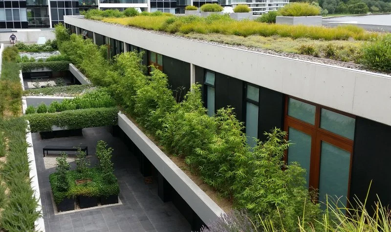 The Benefits of a Green Roof for Sound Insulation in Noisy Urban Areas