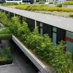 The Benefits of a Green Roof for Sound Insulation in Noisy Urban Areas