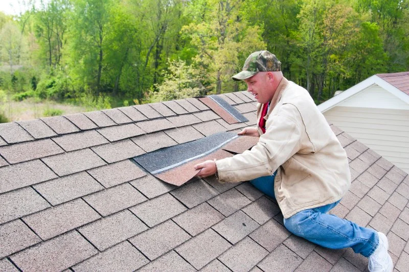 The Difference Between Roof Repair and Roof Restoration: Which Do You Need?