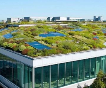 The Benefits of a Living Roof for Urban Biodiversity and Stormwater Management