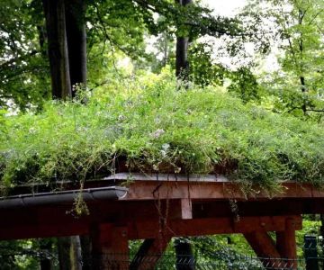 Green Roofs: How They Work, Benefits, and Installation Considerations for Your Home