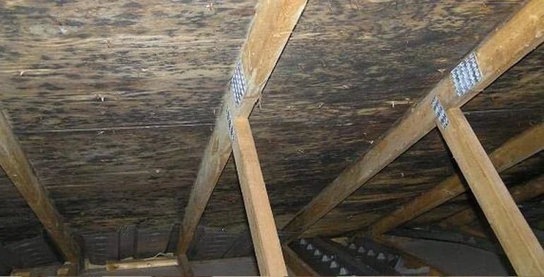 Does Your Roof Need Additional Ventilation? Signs of Poor Airflow in Your Attic