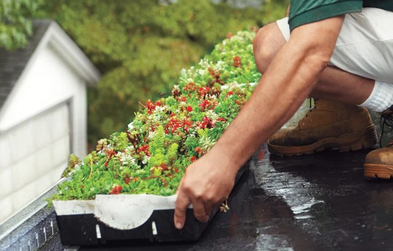 The Process of Installing a Green Roof on an Urban Residence or Building