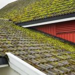 The Impact of Moss on Wood Shake Shingles and How to Remove It