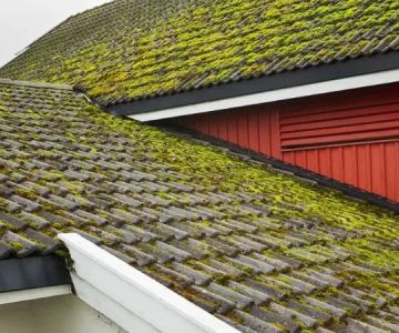 The Impact of Moss on Wood Shake Shingles and How to Remove It
