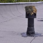 How to Prevent Roof Damage from Nesting Birds and Their Droppings