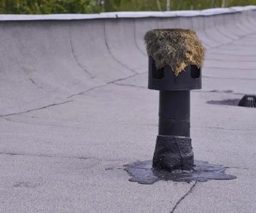 How to Prevent Roof Damage from Nesting Birds and Their Droppings