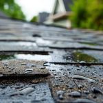 The Signs of a Roof Leak That is Traveling Far from the Actual Entry Point