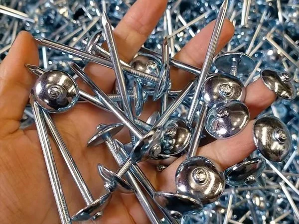 What is a Roofing Nail? Why Stainless Steel or Galvanized Nails are Essential