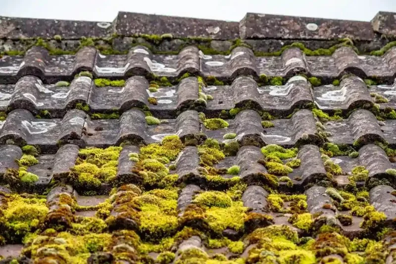 How to Clean Moss Off a Roof with a Zinc Strip Prevention System