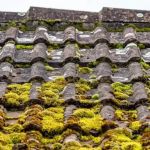 How to Clean Moss Off a Roof with a Zinc Strip Prevention System