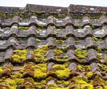 How to Clean Moss Off a Roof with a Zinc Strip Prevention System