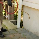 The Signs of a Pest Infiltration Through Your Roof: Droppings and Noises