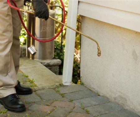 The Signs of a Pest Infiltration Through Your Roof: Droppings and Noises