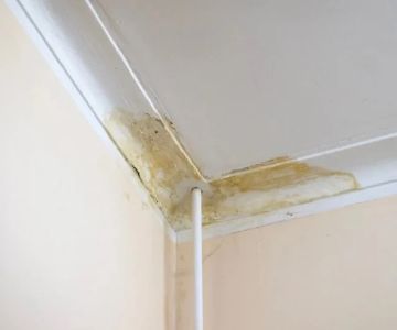 Ceiling Stains: How to Determine if It’s a Roof Leak or a Plumbing Issue