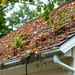 The Impact of Tree Sap on Various Roofing Materials and How to Remove It