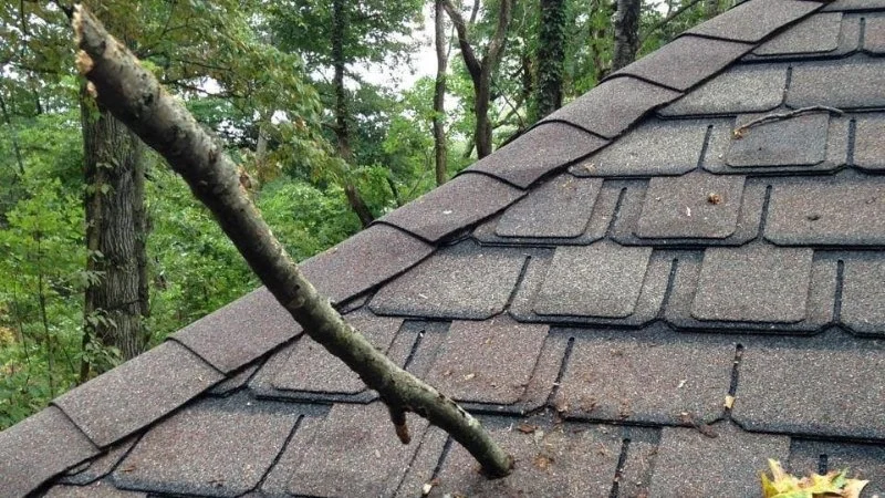 How to Repair a Hole in the Roof from a Fallen Tree Branch
