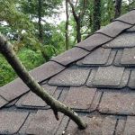 How to Repair a Hole in the Roof from a Fallen Tree Branch