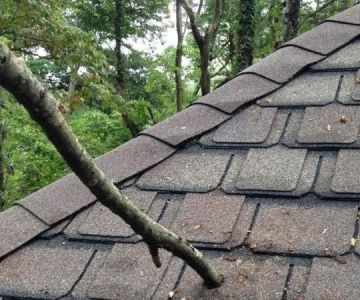 How to Repair a Hole in the Roof from a Fallen Tree Branch