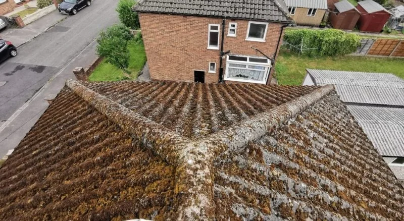 The Impact of Air Pollution on Your Roof's Color and Material Degradation