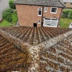 The Impact of Air Pollution on Your Roof's Color and Material Degradation