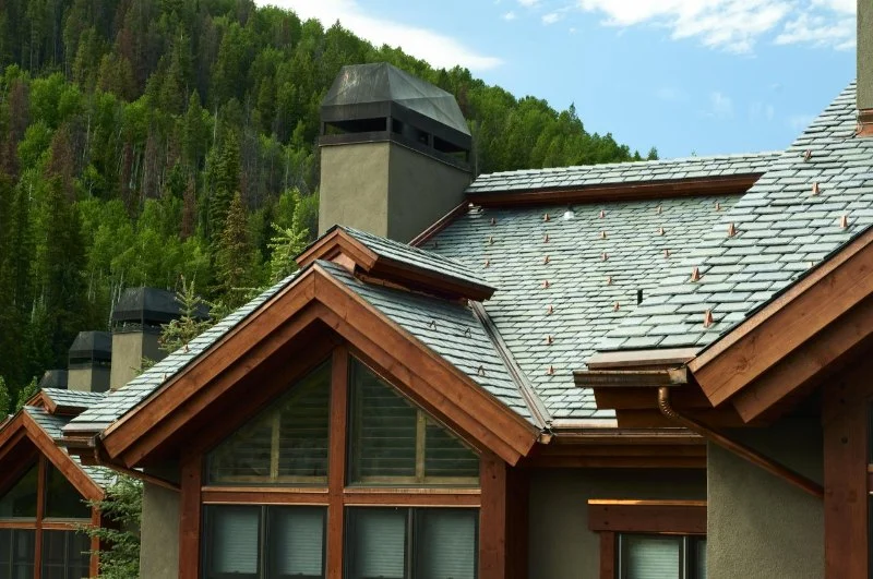 How to Choose a Roof Color for a House in a Forested Area with Lots of Trees