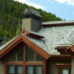 How to Choose a Roof Color for a House in a Forested Area with Lots of Trees