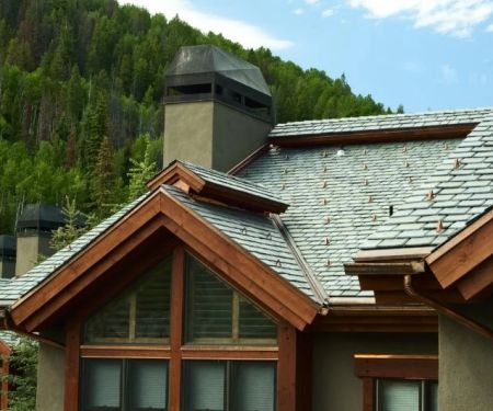 How to Choose a Roof Color for a House in a Forested Area with Lots of Trees