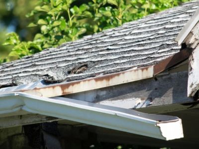 Should You Replace Gutters When Replacing Your Roof?