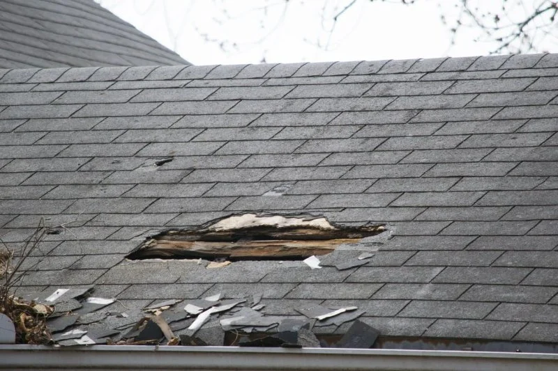 How to Tell If Your Roof Has Wind Uplift Damage
