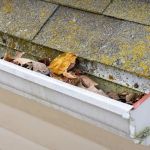 Can a Roof Leak Cause Mold? What Homeowners Need to Know