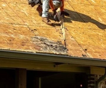 How to Spot Early Signs of Roof Rot: A Homeowner’s Guide