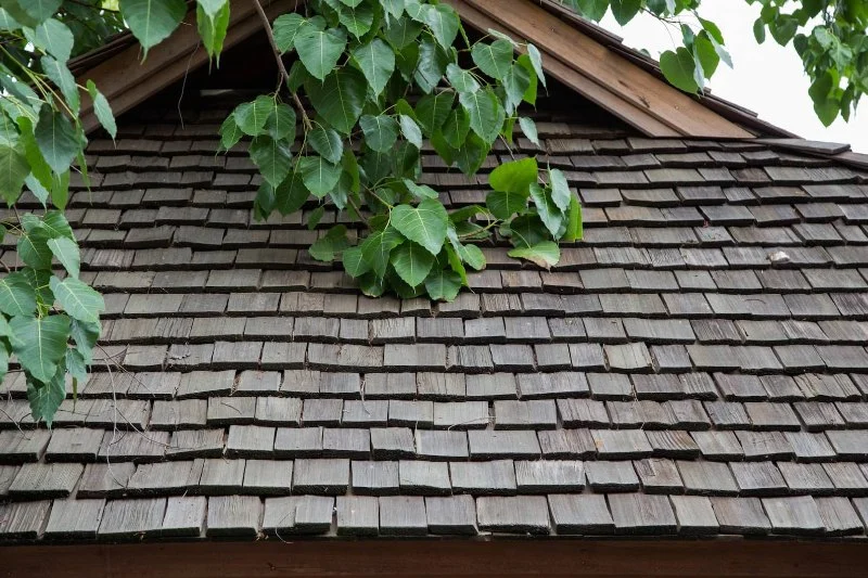 Wood Shake Roofing: Costs, Maintenance Tips, and Longevity Guide