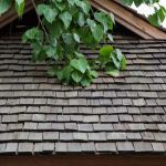 Wood Shake Roofing: Costs, Maintenance Tips, and Longevity Guide