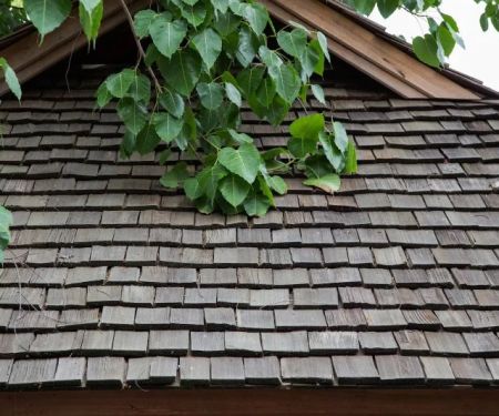 Wood Shake Roofing: Costs, Maintenance Tips, and Longevity Guide