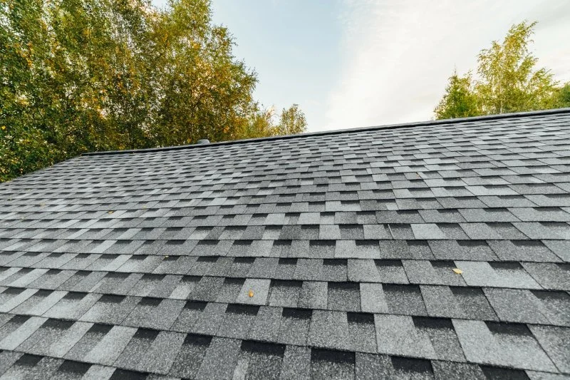 What Is the Cheapest Roofing Material That Lasts?