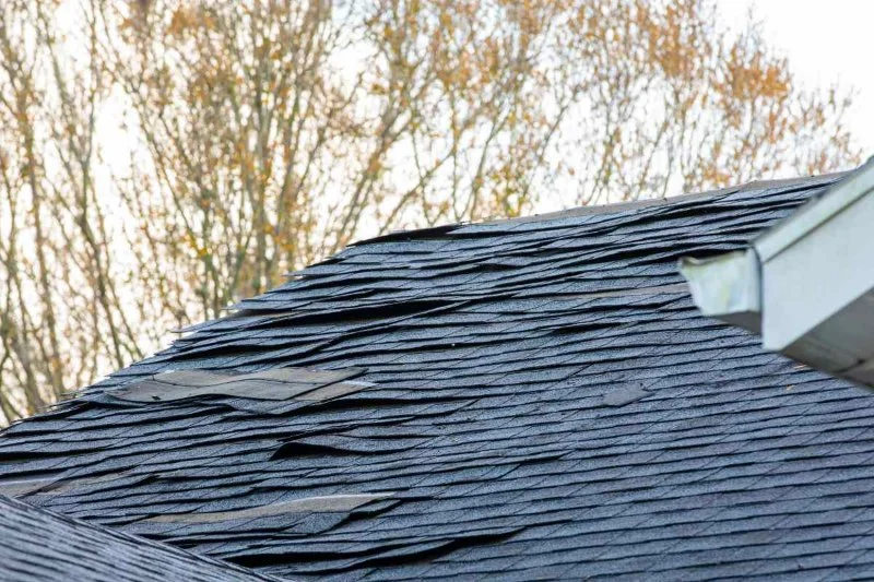Homeowners Insurance Coverage for Roof Damage: A Complete Guide